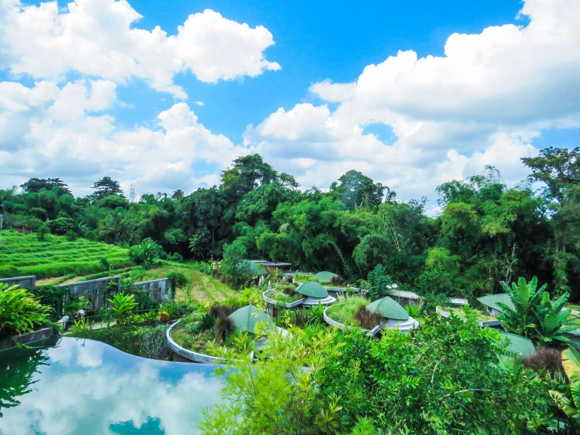 De Moksha Eco Friendly Boutique Resort Tanah Lot Cameră foto