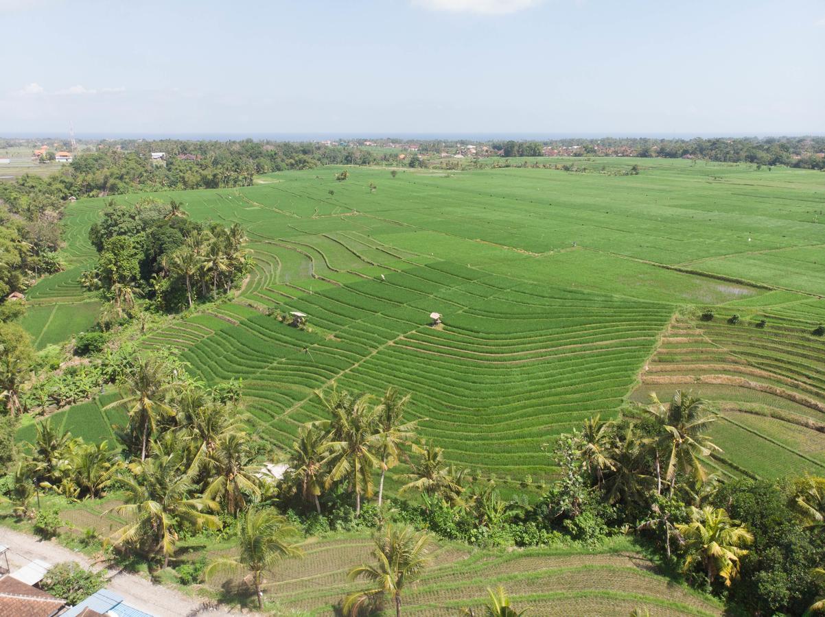 De Moksha Eco Friendly Boutique Resort Tanah Lot Exterior foto